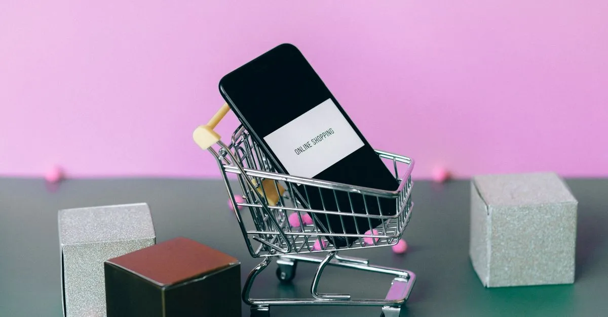 Nakupování v e-commerce mobilní aplikaci