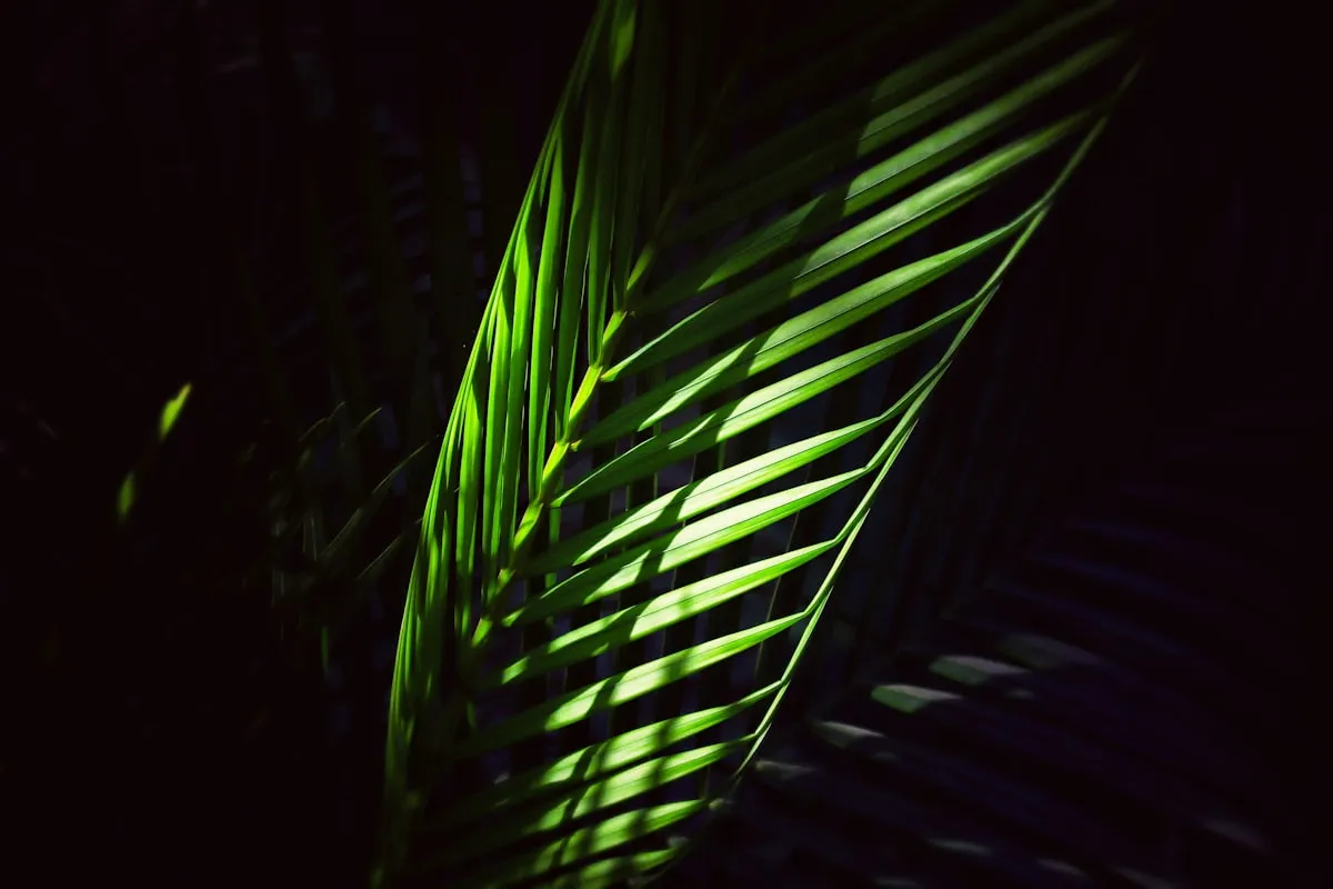 Design landing page zobrazený na obrazovce